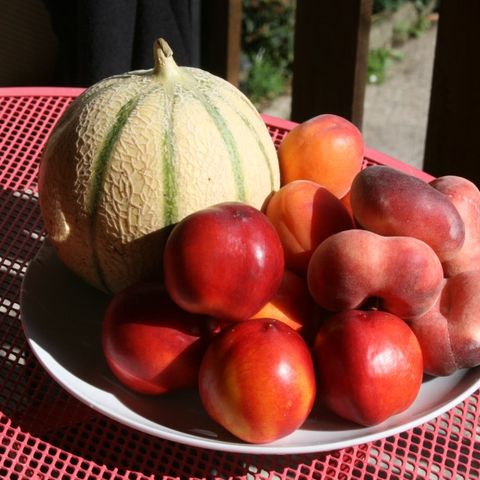 Aire Naturelle de Camping Les Cerisiers - Loire - Image N°3