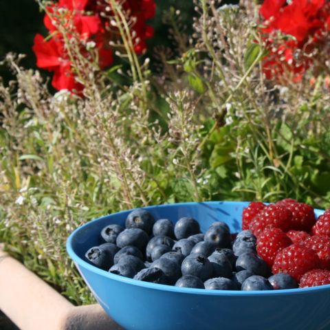 Aire Naturelle de Camping Les Cerisiers - Loire - Image N°4