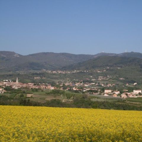 Aire Naturelle de Camping Les Cerisiers - Loire - Image N°5