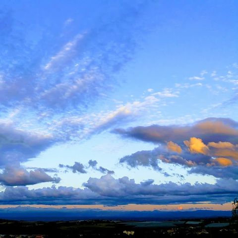 Aire Naturelle de Camping Les Cerisiers - Loire - Image N°6