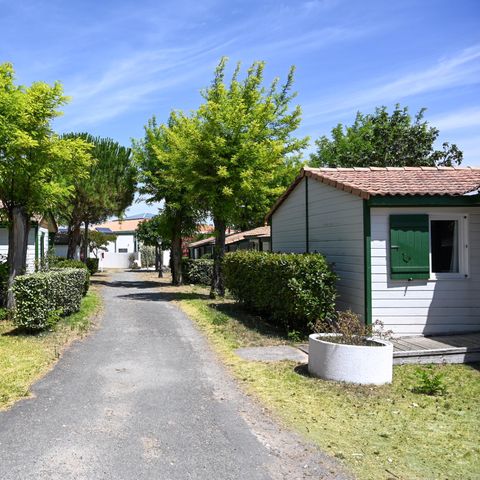 Mobile home 6 persons - TAMARIS