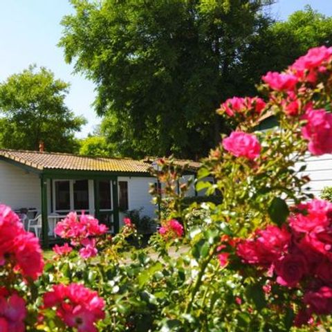 Chalet 4 persons - YUCCA