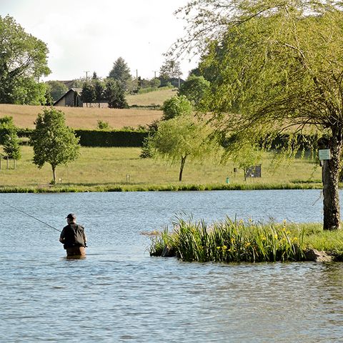 Camping L'Etang Philippe - Puy-de-Dôme - Image N°3