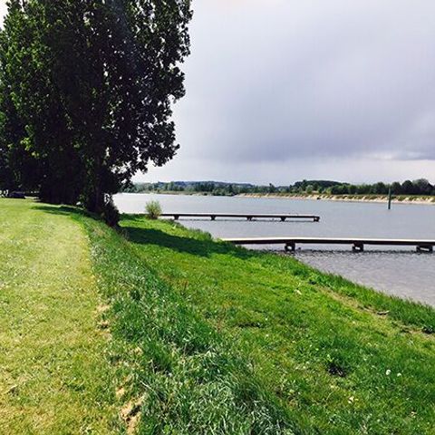 Pitch - Fishing