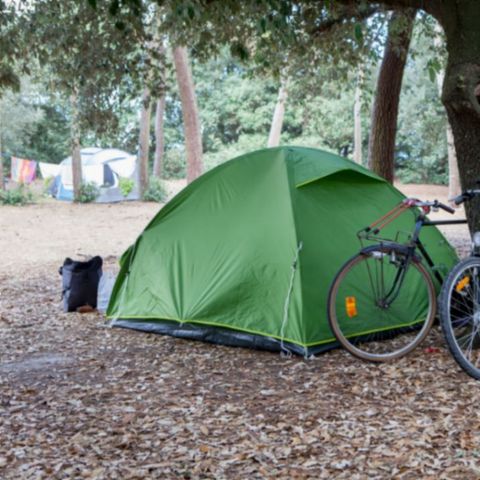 Pitch - TENT(S) + BIKE(S)