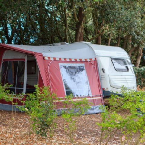 Pitch - EMP + VEHICLE(S) (V, CC, CARAVAN)