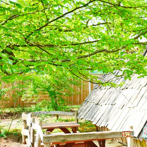 UNUSUAL ACCOMMODATION 3 people - Cabane Sorcière 3 pers