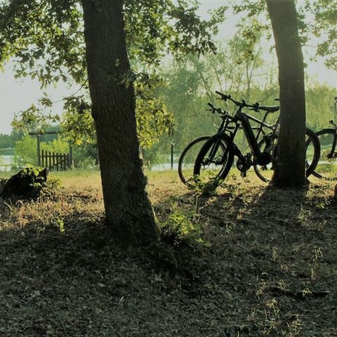 Camping Le Port - Camping Loiret  - Image N°4