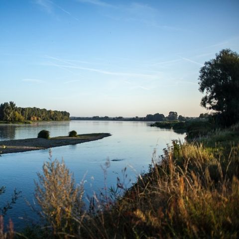 Camping Le Port - Camping Loiret  - Image N°2