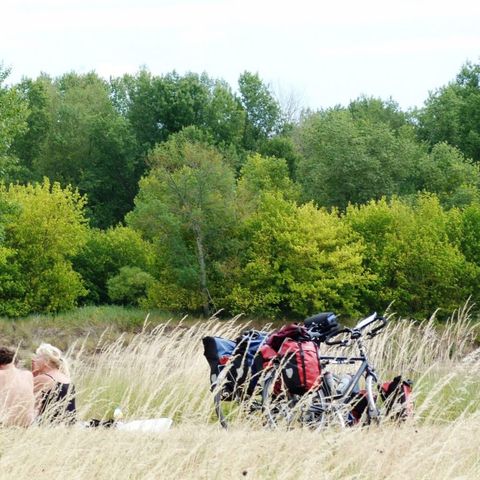 Camping Le Port - Camping Loiret  - Image N°5