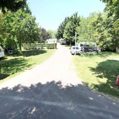 Pitch - Campsite