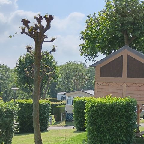 Accommodation 2 persons - Nature tent on stilts Standard 7.2 m² - without sanitary facilities