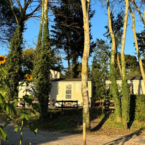 MOBILE HOME 1 person - 02-Mobil-Home Mitoyen Standard 17m2 (1bed - 1 pers.) + TV + Air conditioning - price for 2 people