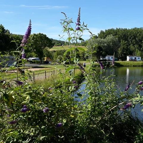 Pitch - Pitch - Privilege package - electricity 6A + on the edge of the pond
