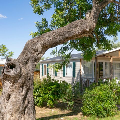 MOBILE HOME 6 people - CASITA LIMON - 26m²- 2 bedrooms