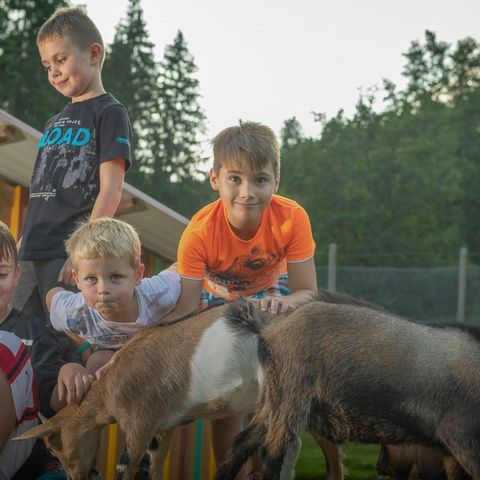 Kleinenzhof Family Resort - Baden-Württemberg - Image N°4