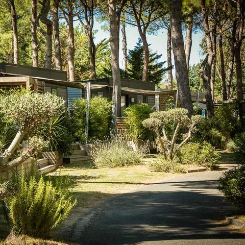Mobile home 4 persons - SUNÊLIA PRESTIGE DECLIK