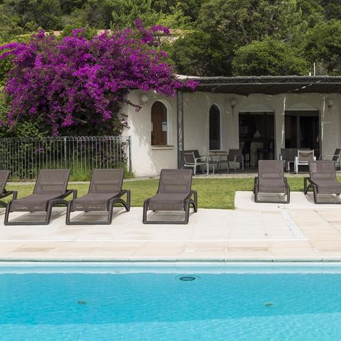 Camping Residence Mare e Monte - Camping Southern Corsica - Image N°4