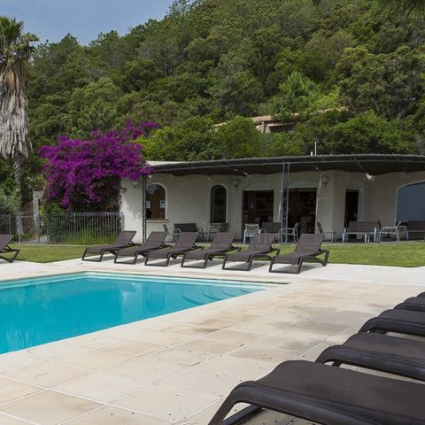 Camping Residence Mare e Monte - Camping Southern Corsica - Image N°3