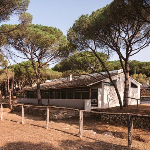 Pitch - PLUS pitch for motorhomes (Tents not permitted)