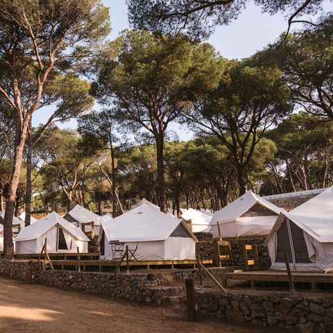 CANVAS AND WOOD TENT 2 people - Bell Tent Plus