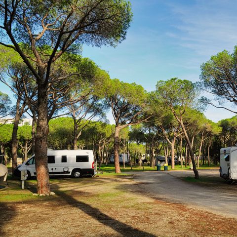 Pitch - PREMIUM PARCEL for camper vans and caravans (Tents not permitted)