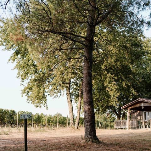 CHALET 5 people - (C02)