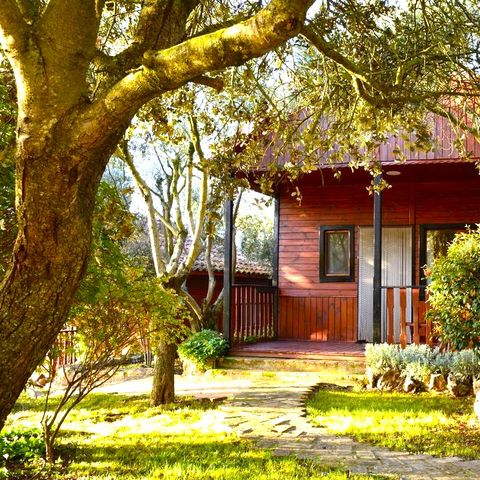 BUNGALOW 6 people - Bungalow