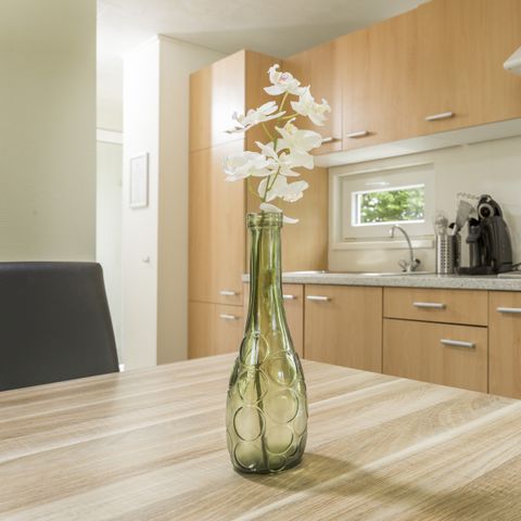Mobile home 4 persons - Villa de Bergen