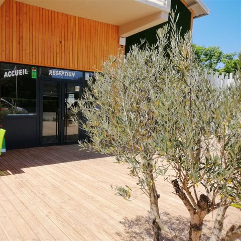 Camping Des Deux Rivières  - Camping Aveyron - Image N°4