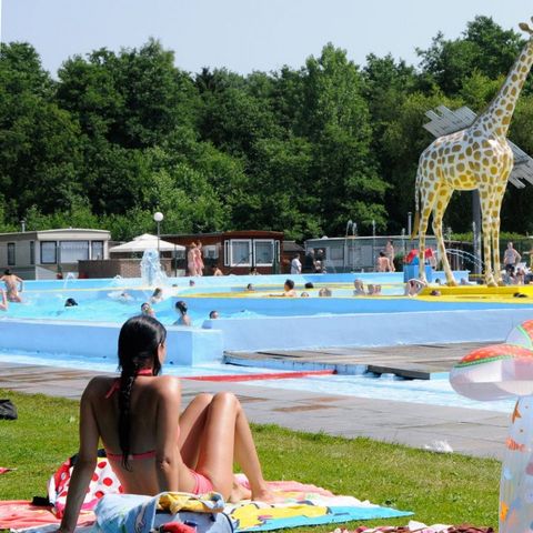 Camping Wilhelm Tell - Camping Belgian Limburg - Image N°5