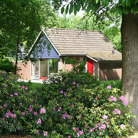 Bungalow 4 persons - IJssel
