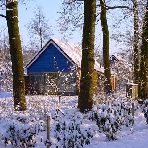 BUNGALOW 4 people - IJssel