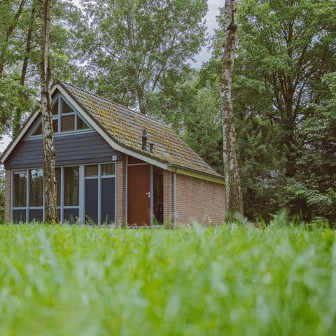 BUNGALOW 4 people - IJssel Comfort Plus