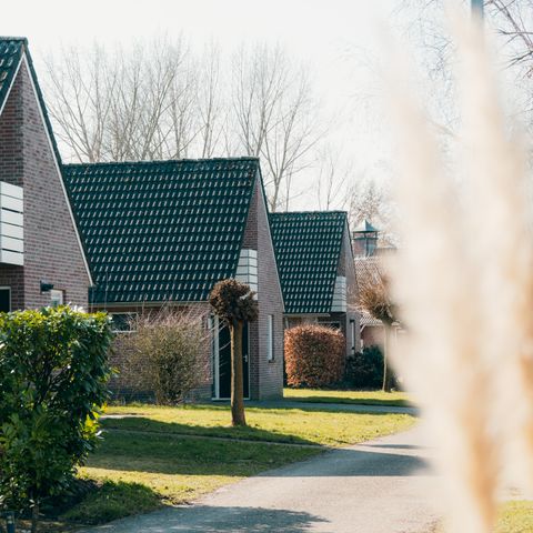 BUNGALOW 6 people - Schipbeek