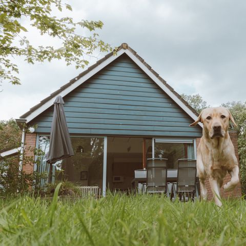 BUNGALOW 4 people - IJssel Plus
