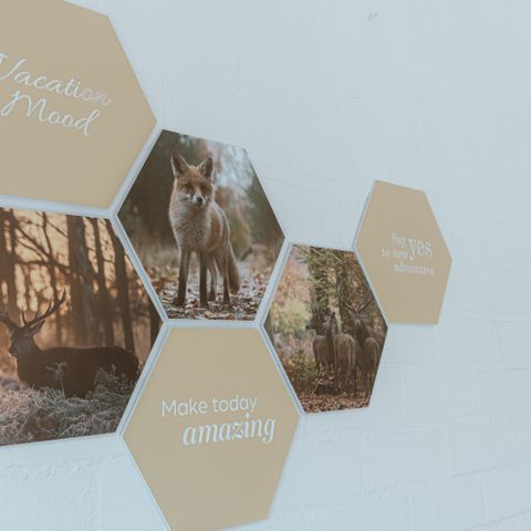 BUNGALOW 4 people - IJssel Plus