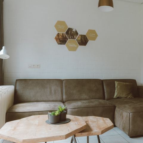 Bungalow 8 persons - IJssel Plus (4+4)