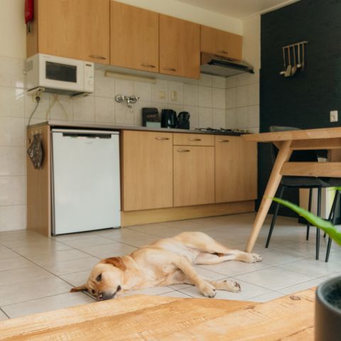 BUNGALOW 8 people - IJssel Plus (4+4)