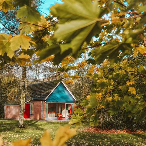 BUNGALOW 8 people - IJssel Plus (4+4)