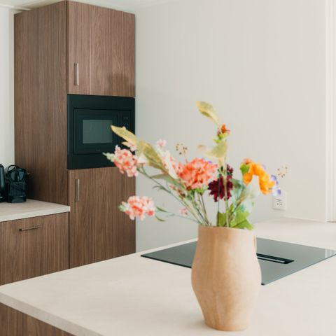 BUNGALOW 6 people - Palthe Premium