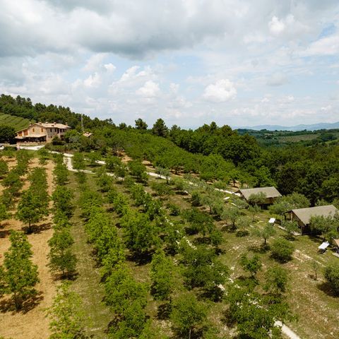 Camping Pian di Boccio - Camping Perugia - Image N°2