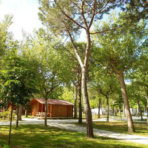 CHALET 4 people - Standard