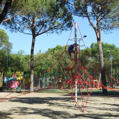 Viareggio Family Collection - Lucca - Image N°6