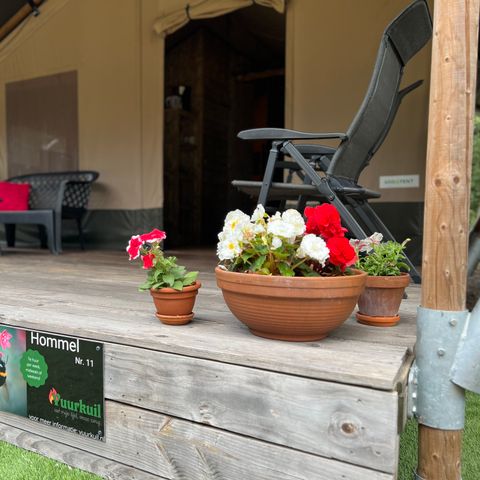 CANVAS AND WOOD TENT 6 people - including sanitary facilities
