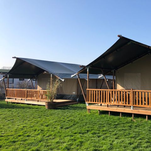 CANVAS AND WOOD TENT 6 people