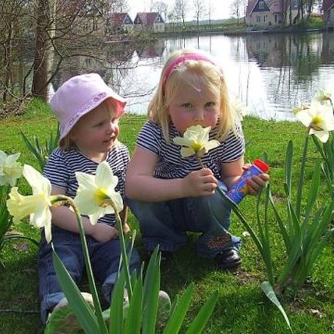 Vakantiepark het Timmerholt  - Camping Midden-Drenthe - Image N°6
