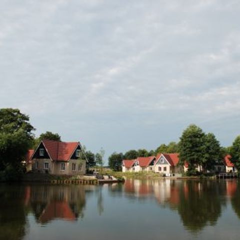 Vakantiepark het Timmerholt  - Camping Midden-Drenthe - Image N°5
