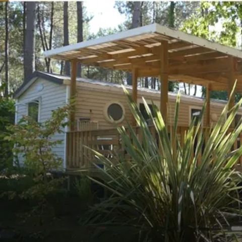 MOBILE HOME 12 people - COMFORT TRIBU