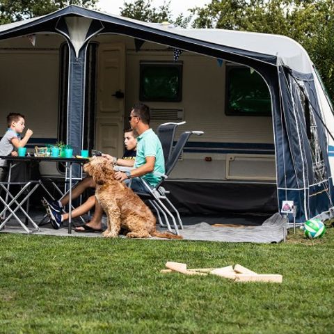 Pitch - Comfort pitch L dogs allowed